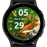 Koi Swim 4