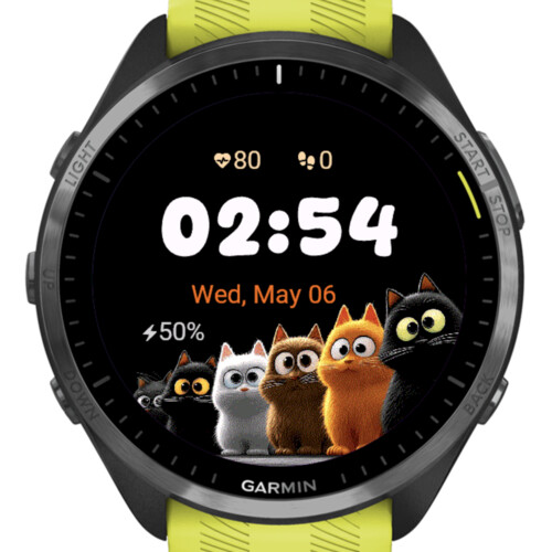Curious Cats Line · Screenshot 2