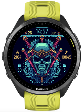Skull King 2 · Screenshot 1
