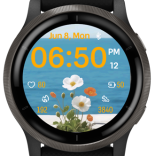Coastal Anemone · Screenshot 3