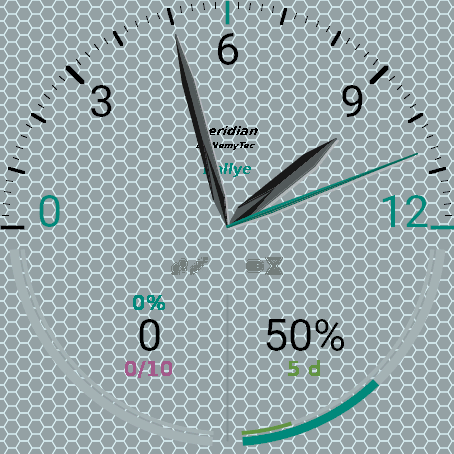 Neridian Rallye Pro – display analogico · Screenshot 3