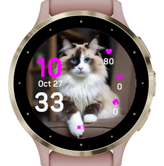 Daily Cat · Screenshot 2
