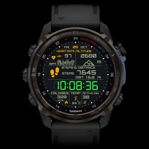 DIGITAL Ranger · Screenshot 2