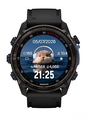 Music guinea pig · Screenshot 0