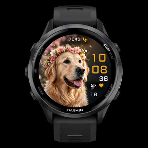 Blossom Aura  3