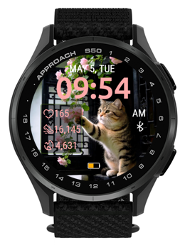 Garden Cat 3