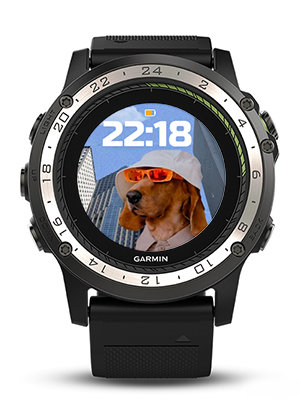 cool dog · Screenshot 1