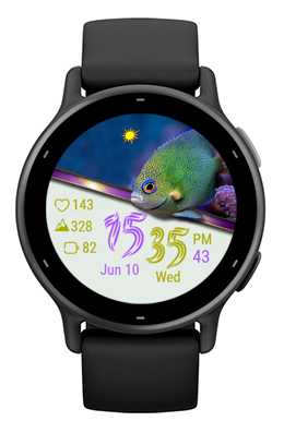 Fairy Fish · Screenshot 1