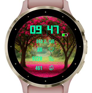 Petal · Screenshot 3