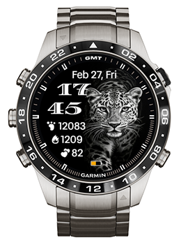 Leopard Two · Screenshot 2