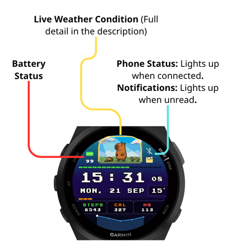 CapyWeather · Screenshot 2