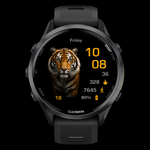 Tiger Minimal 2