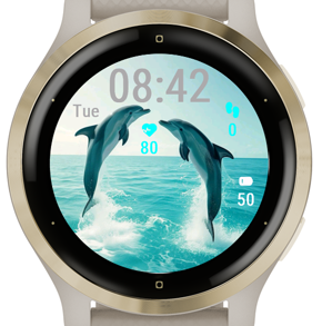 Happy Dolphins · Screenshot 3