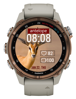 Beautiful Antelope · Screenshot 0