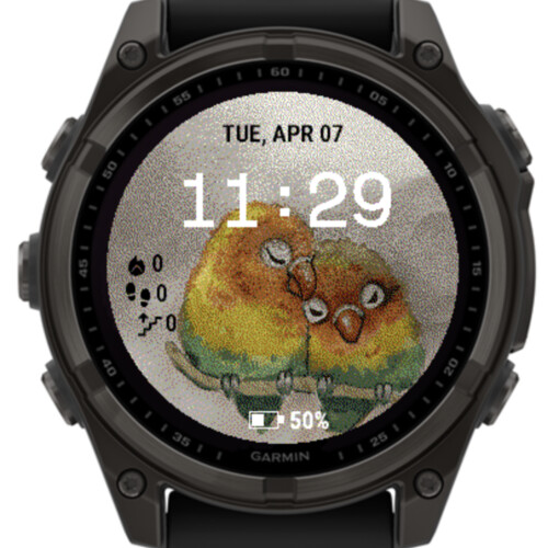 Love Birds 5