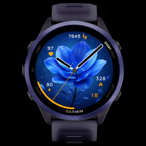 Azure Bloom 2