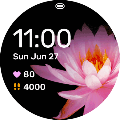 Water Lily · Screenshot 3