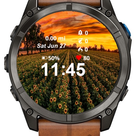 Field Sunflowers Sunset · Screenshot 1