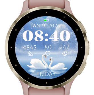 White Swan · Screenshot 3