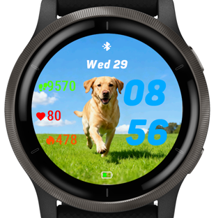 Happy Labrador · Screenshot 0