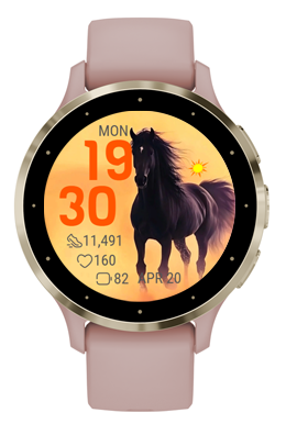 Dark Stallion 3