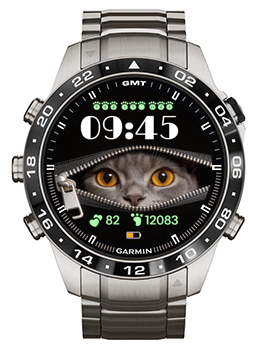 Cat Day · Screenshot 2