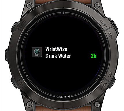 WristWise - Smart Alerts & Daily Control 2