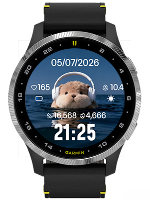 Music guinea pig · Screenshot 1