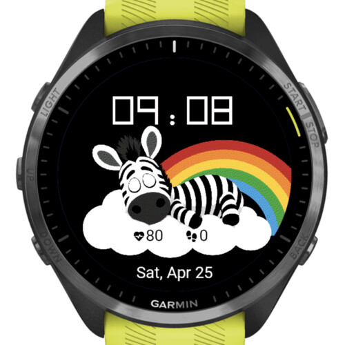 Dreamy Zebra Rainbow 4