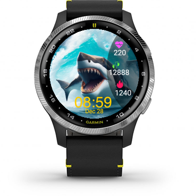 Shark · Screenshot 0
