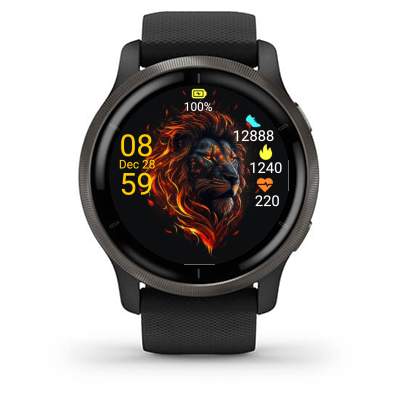 Fierce Lion · Screenshot 2