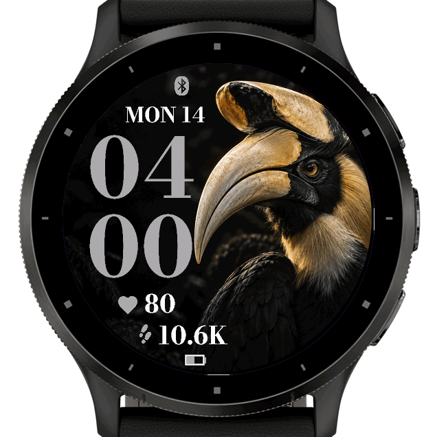 Onyx Hornbill · Screenshot 1