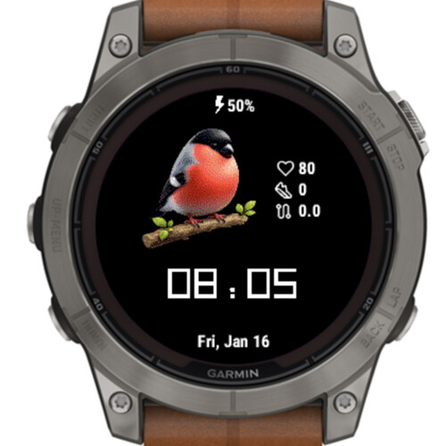 Cute Bullfinch · Screenshot 0