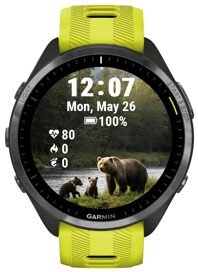 WILDFamily · Screenshot 1