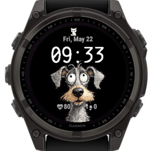 Dog and Cat · Screenshot 3