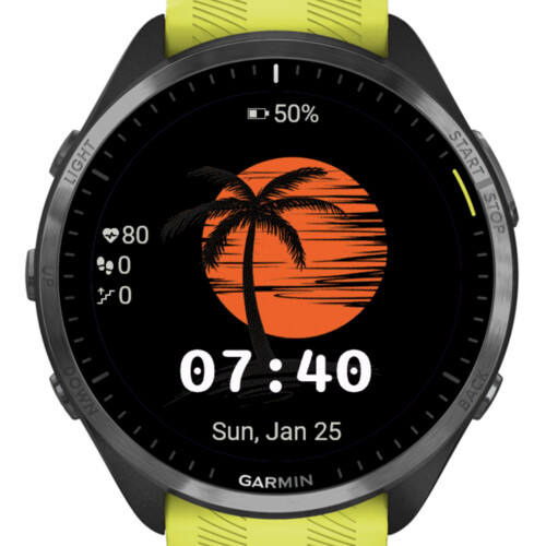 Sunset Palm 3