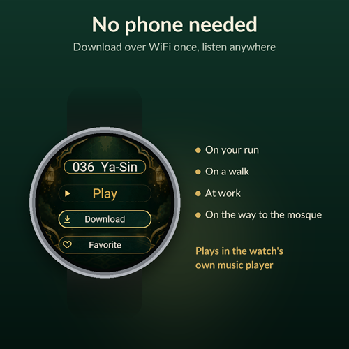 Quran (Koran) Audio - 114 Surahs Offline · Screenshot 1