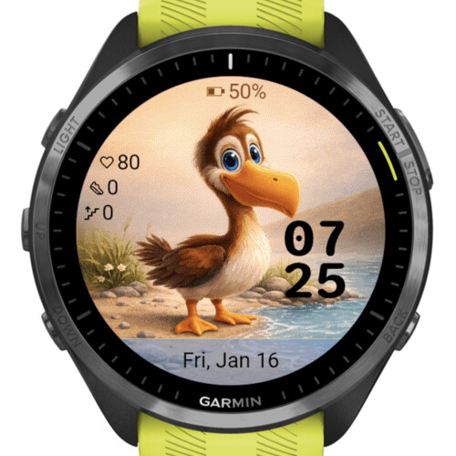 Cute Duck 3