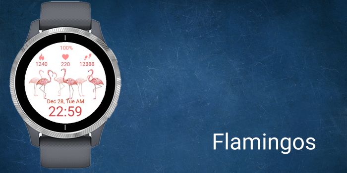 Flamingos · Screenshot 0