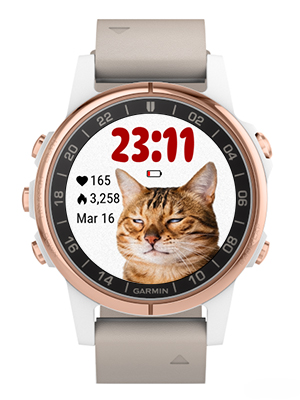 Funny cat · Screenshot 3