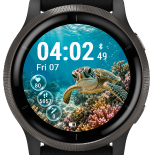 Coral Turtle · G · Screenshot 3