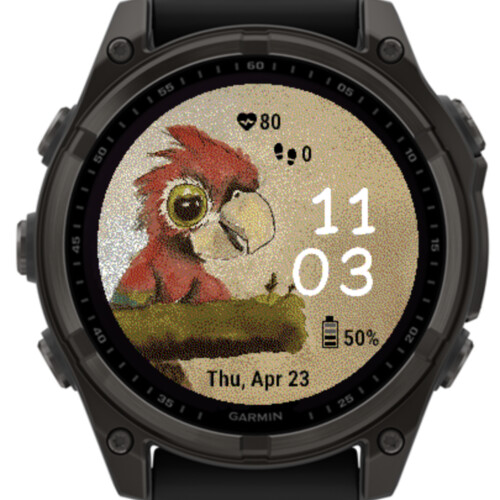 Funny Parrot 5