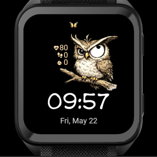 Funny Owl · Screenshot 1
