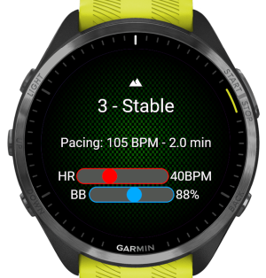 Pacing(Watchface) 4
