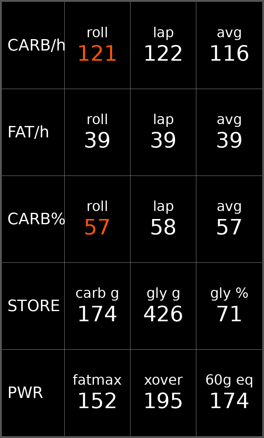 CarbBurnDataField · Screenshot 1