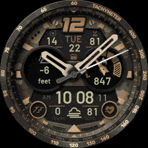Fenix 8 CAMO - Rich data · Screenshot 2