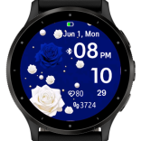 Blue White Rose · Screenshot 1