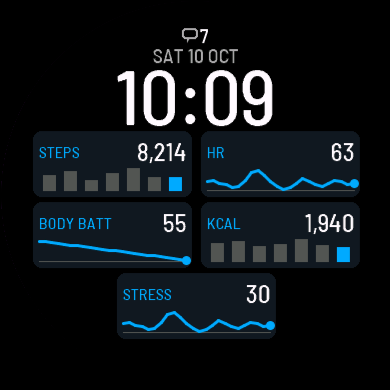 Trendline Watch Face - Data with 7-Day Trends · Screenshot 0