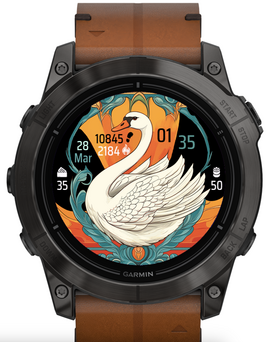 Swan · Screenshot 4