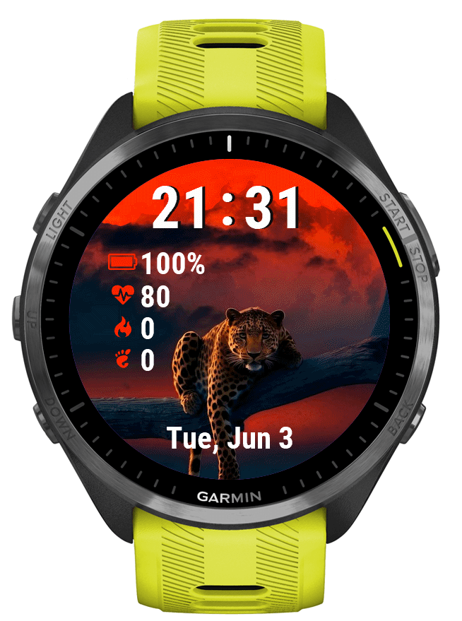 Panther · Screenshot 1